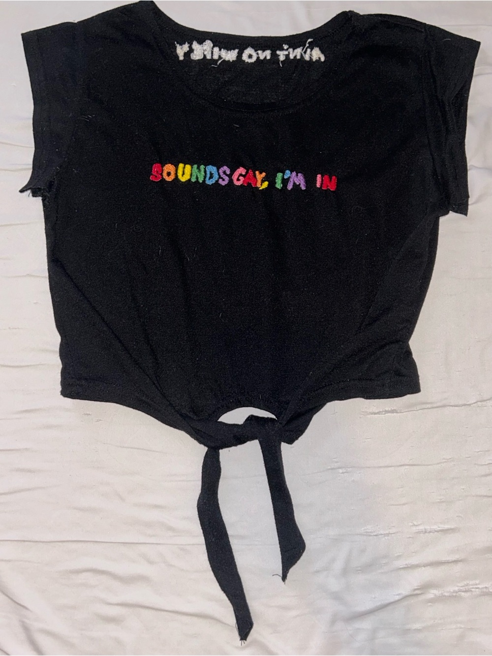 Sounds gay, I’m in hand embroidered tie crop top ain’t no wifey